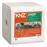 KNZ sheep Laizāmais sāls